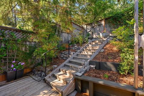 Larkspur CA 94939