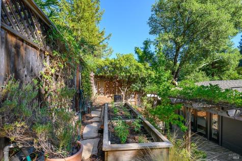 Larkspur CA 94939