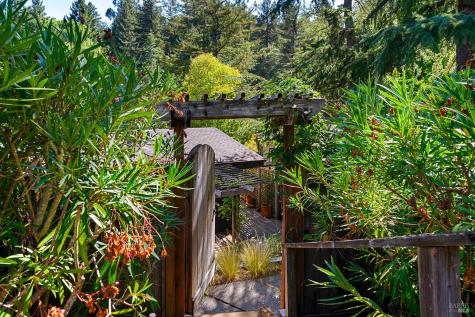 Larkspur CA 94939