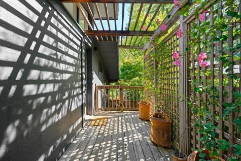 Larkspur CA 94939