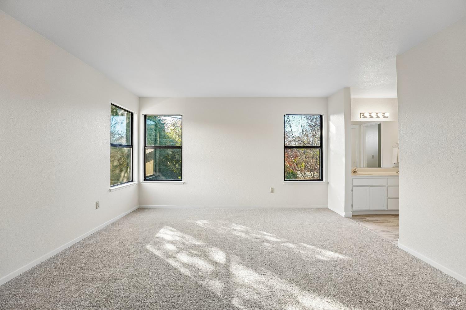 585 Mitchell Way Sonoma CA 95476
