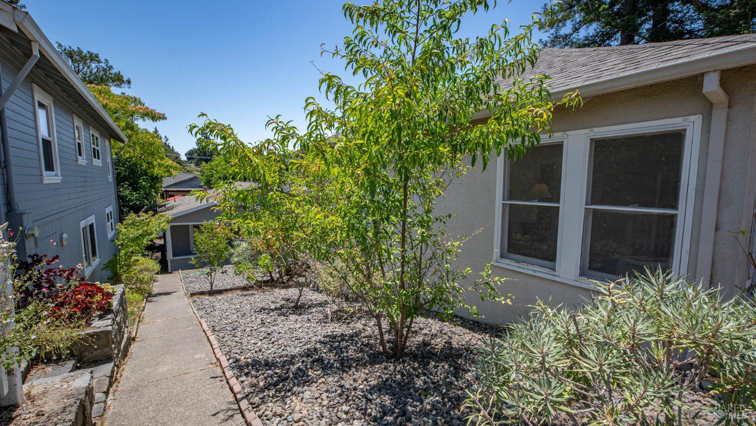 2-2 1/2 Grandview Avenue Petaluma CA 94952
