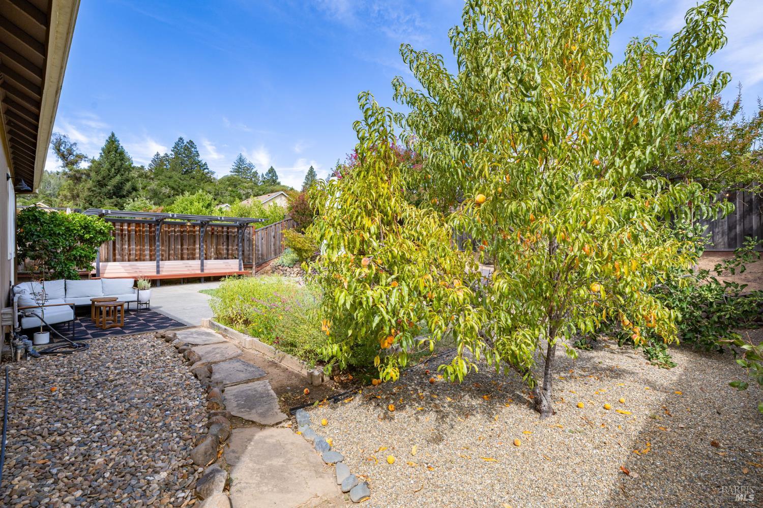458 Muscat Drive Cloverdale CA 95425
