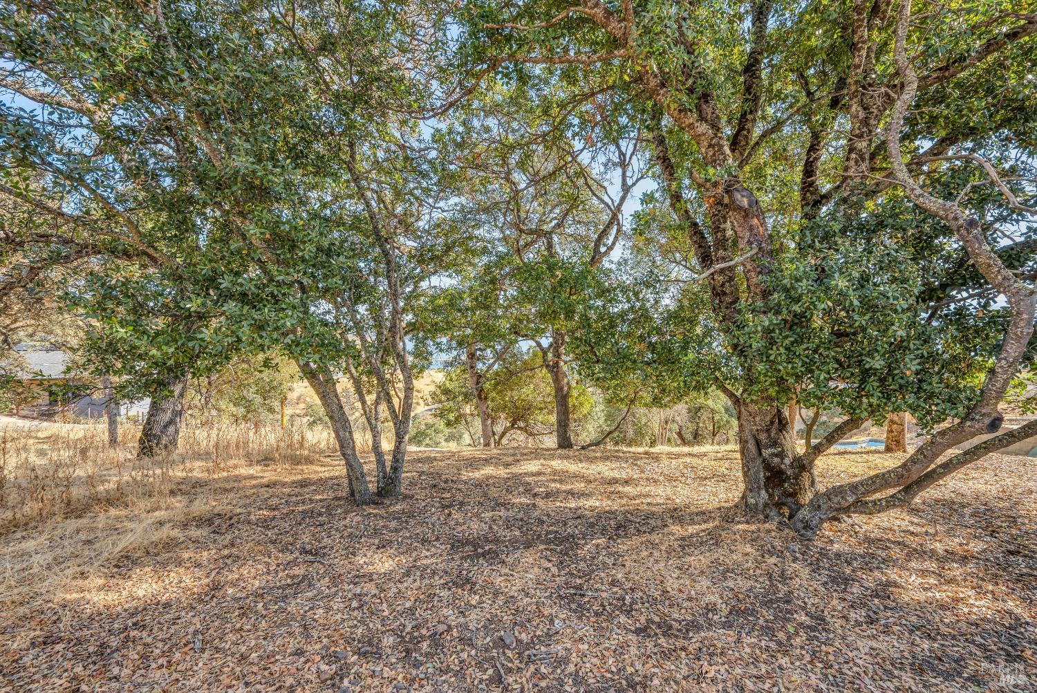 3012 Oak Crest Drive Clearlake CA 95422