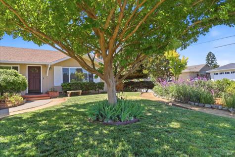 131 Grande Vista Novato CA 94947