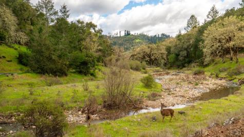 812 Leslie Creek Lane Santa Rosa CA 95404