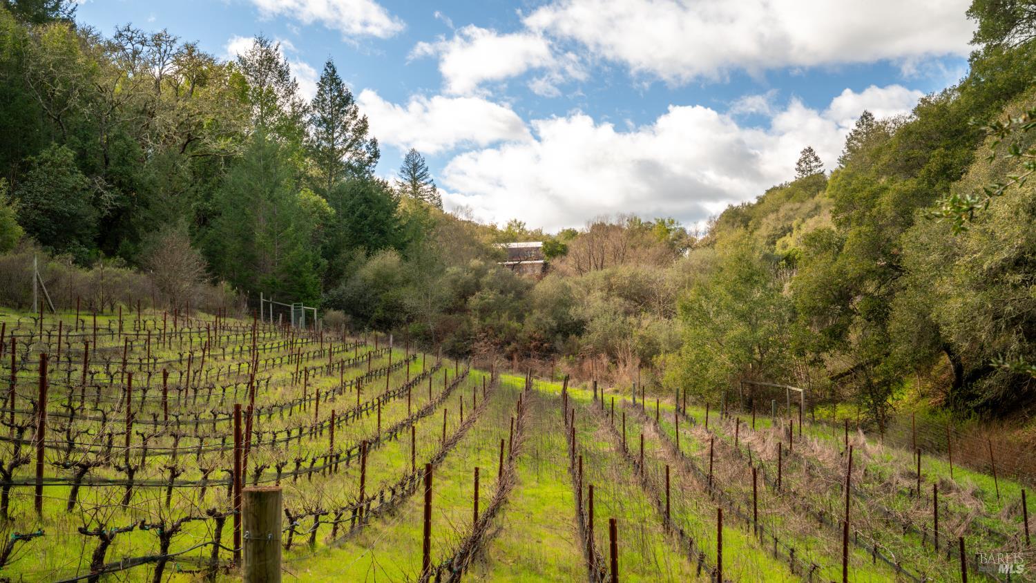 812 Leslie Creek Lane Santa Rosa CA 95404