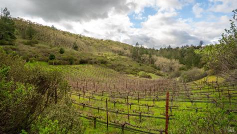 812 Leslie Creek Lane Santa Rosa CA 95404