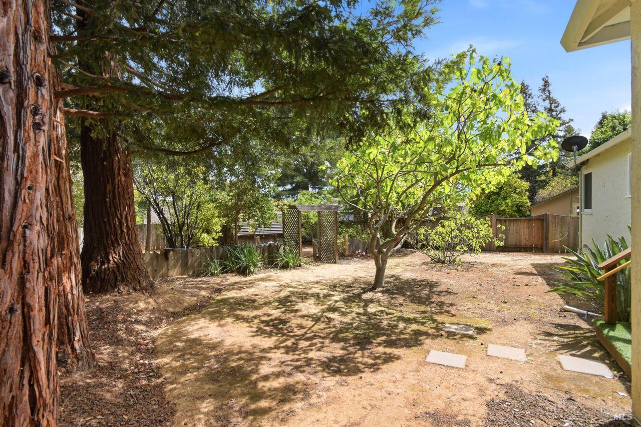 1120 Clayton Court Novato CA 94945