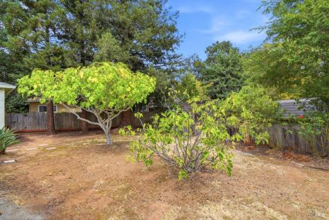 1120 Clayton Court Novato CA 94945