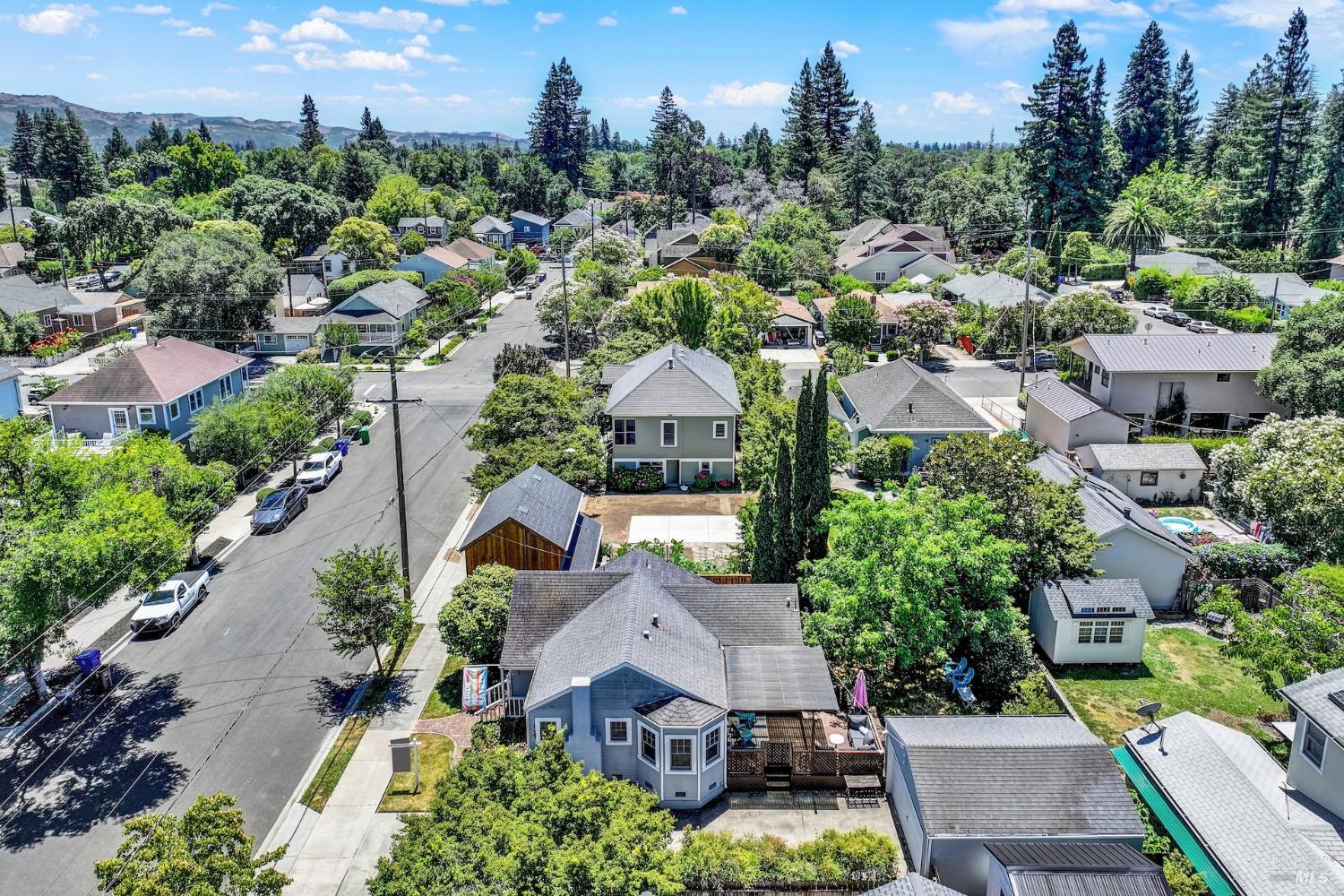 Napa CA 94559
