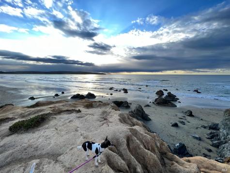 75 Ocean View Avenue Dillon Beach CA 94929