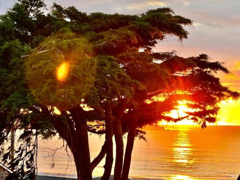 75 Ocean View Avenue Dillon Beach CA 94929