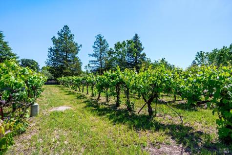 5533 Oak Meadow Drive Santa Rosa CA 95401