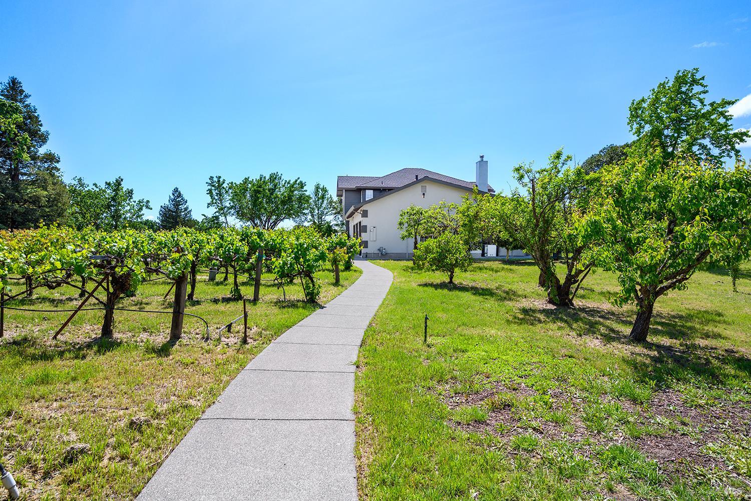 5533 Oak Meadow Drive Santa Rosa CA 95401
