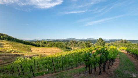 6355 Mountain View Ranch Road Healdsburg CA 95448