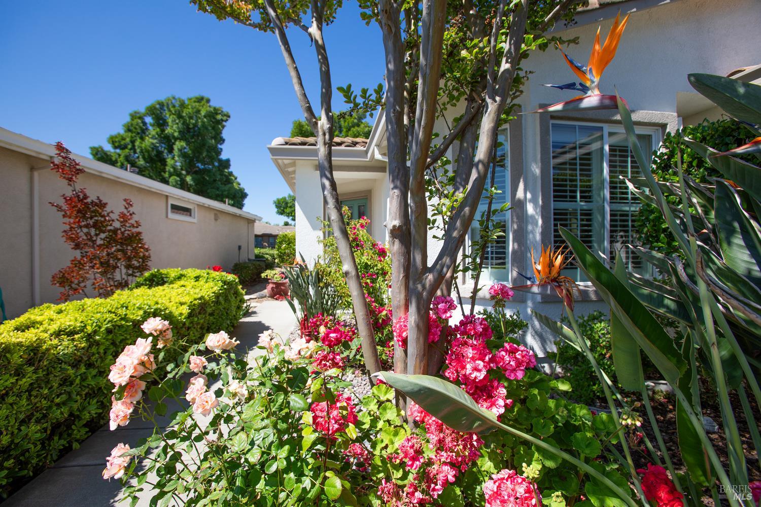 717 Livingston Place Rio Vista CA 94571