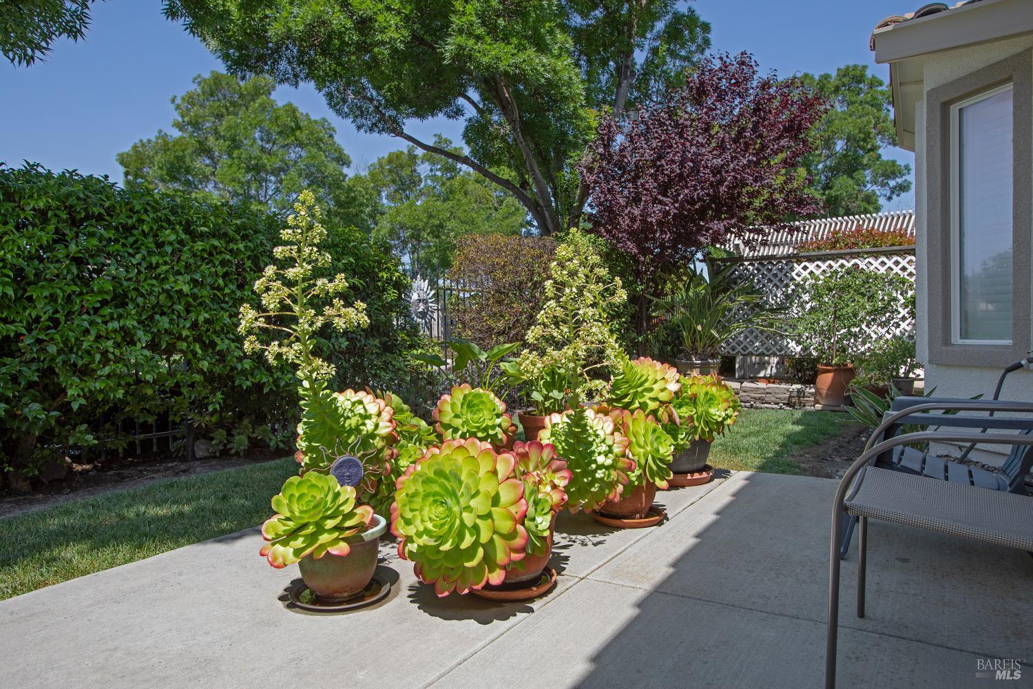 717 Livingston Place Rio Vista CA 94571