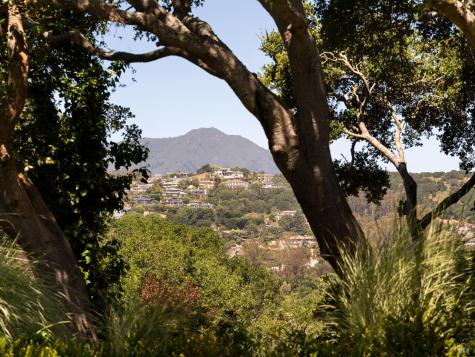 17 Cecilia Court Tiburon CA 94920