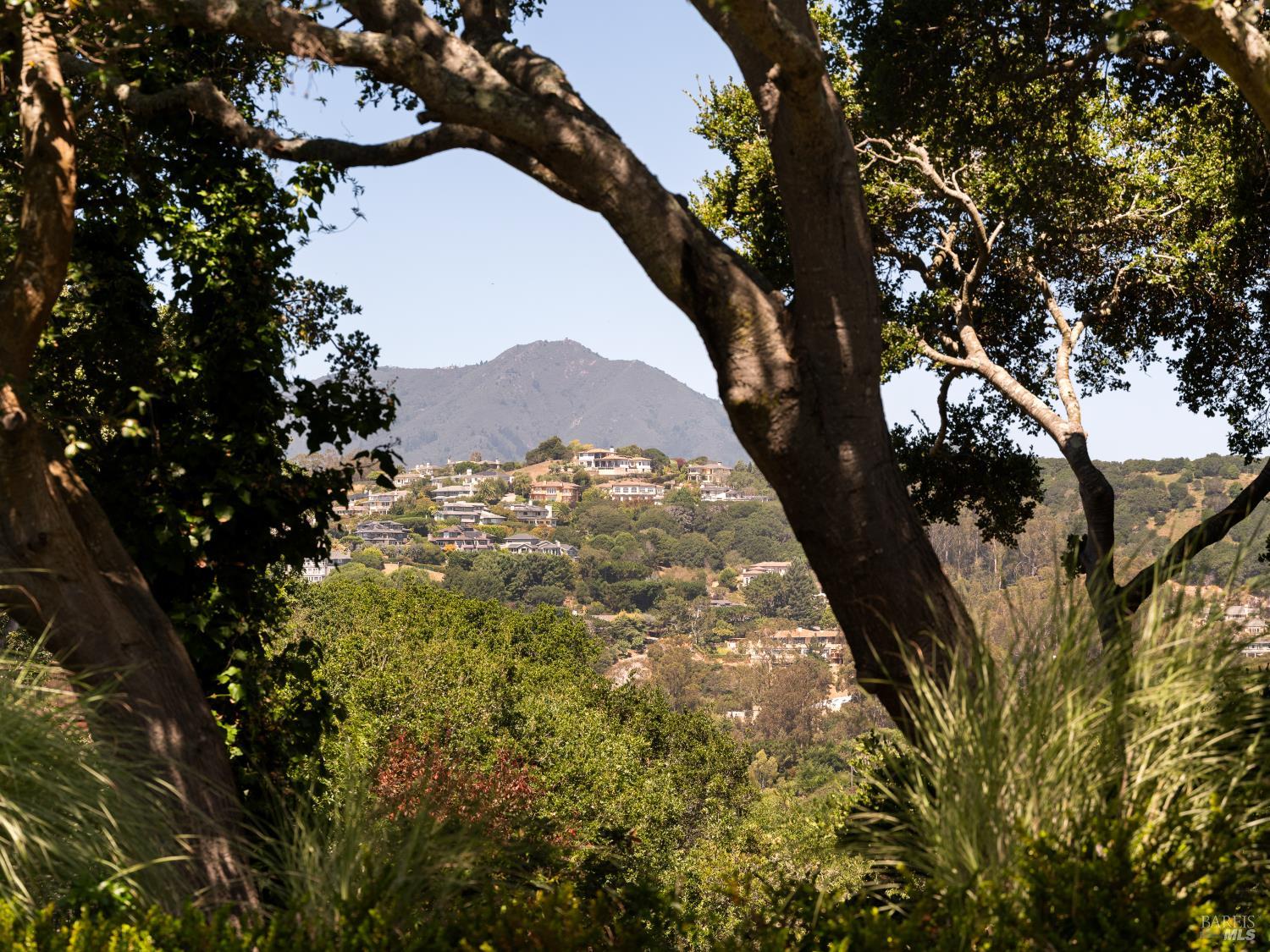 17 Cecilia Court Tiburon CA 94920