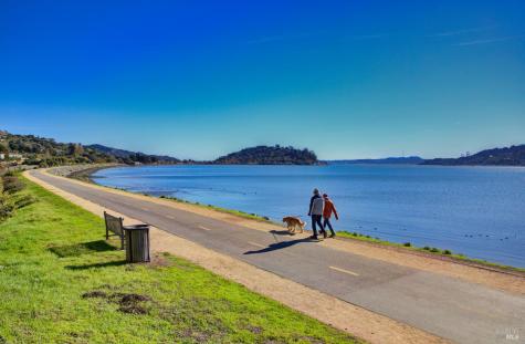 17 Cecilia Court Tiburon CA 94920