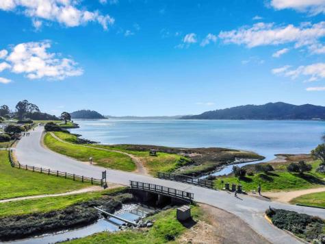 17 Cecilia Court Tiburon CA 94920