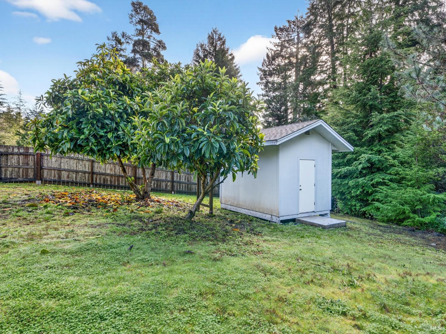 18970 Quail Court Fort Bragg CA 95437