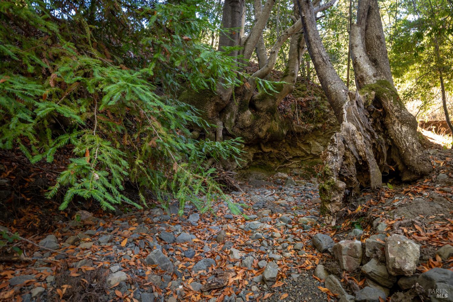 1300 Niestrath Road Cazadero CA 95421