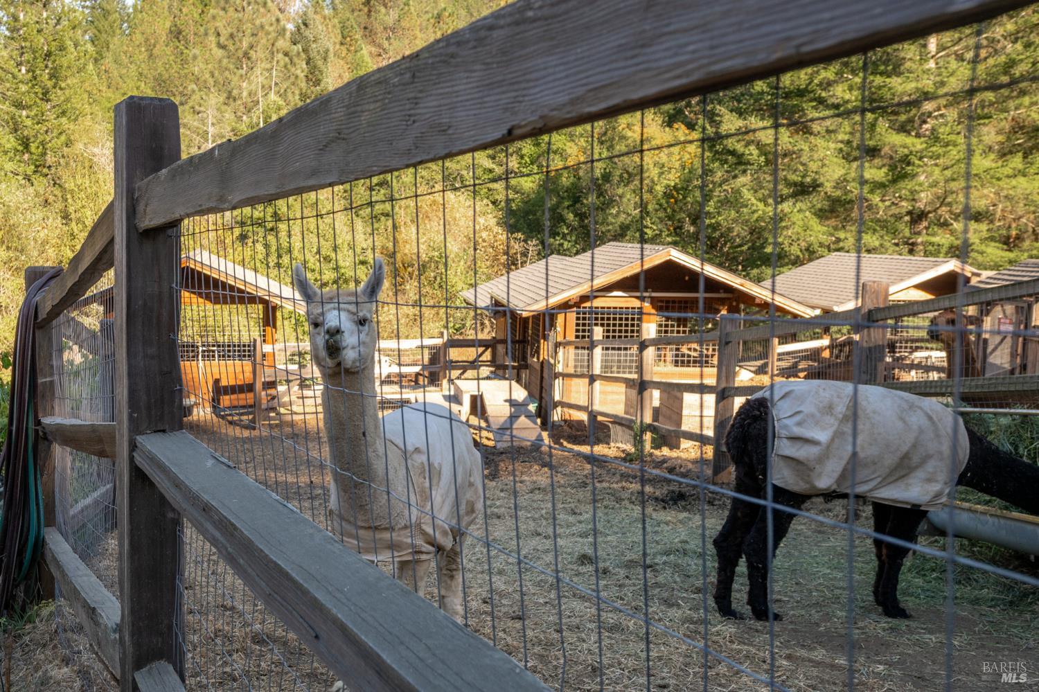 1300 Niestrath Road Cazadero CA 95421