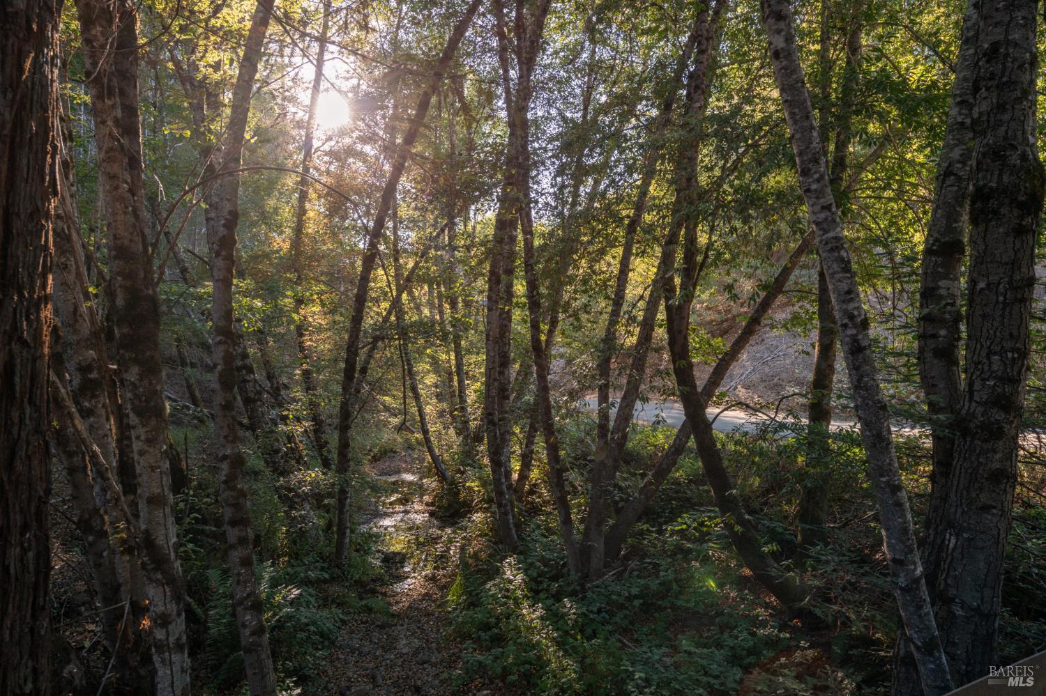 1300 Niestrath Road Cazadero CA 95421