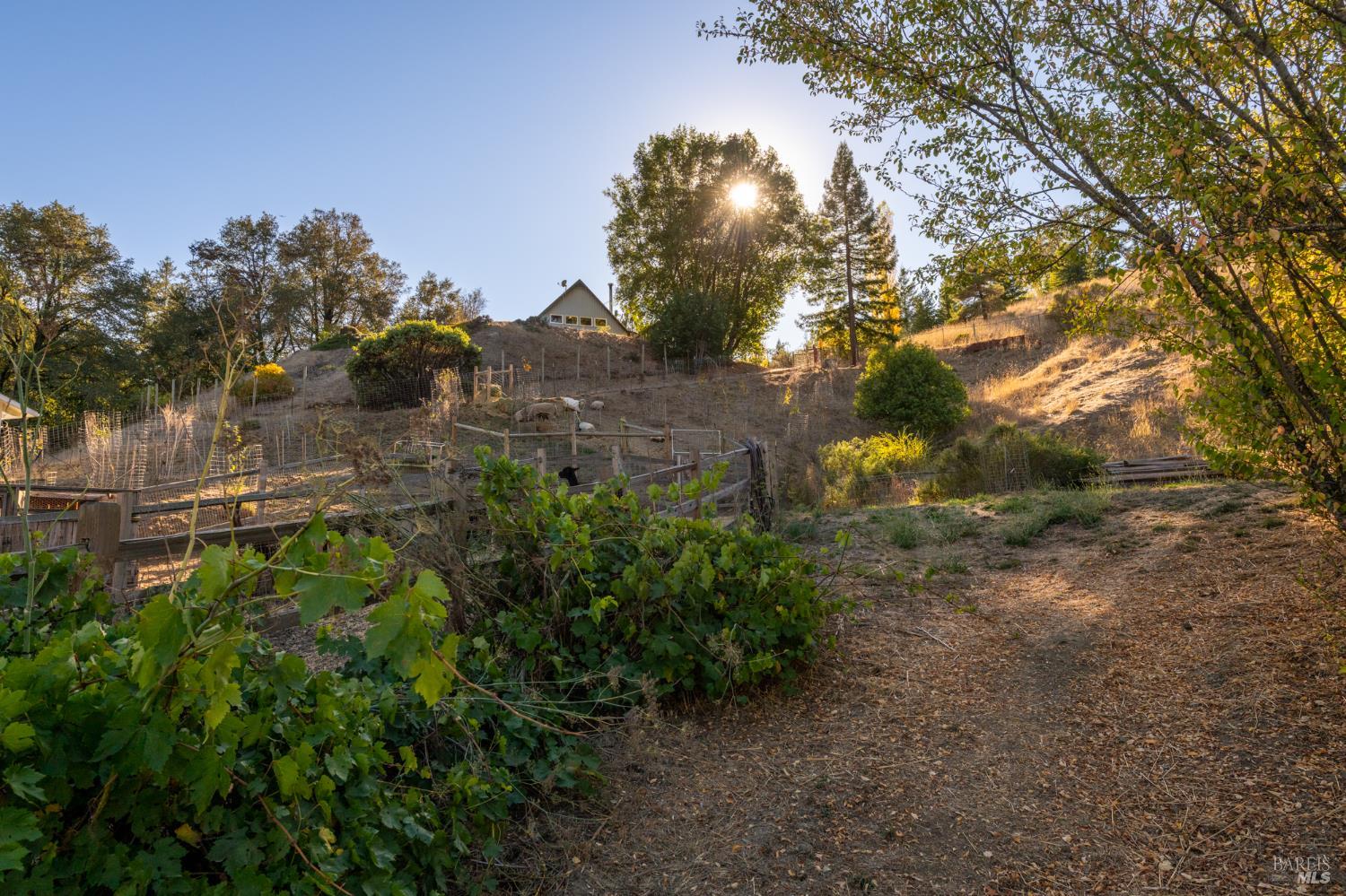 1300 Niestrath Road Cazadero CA 95421