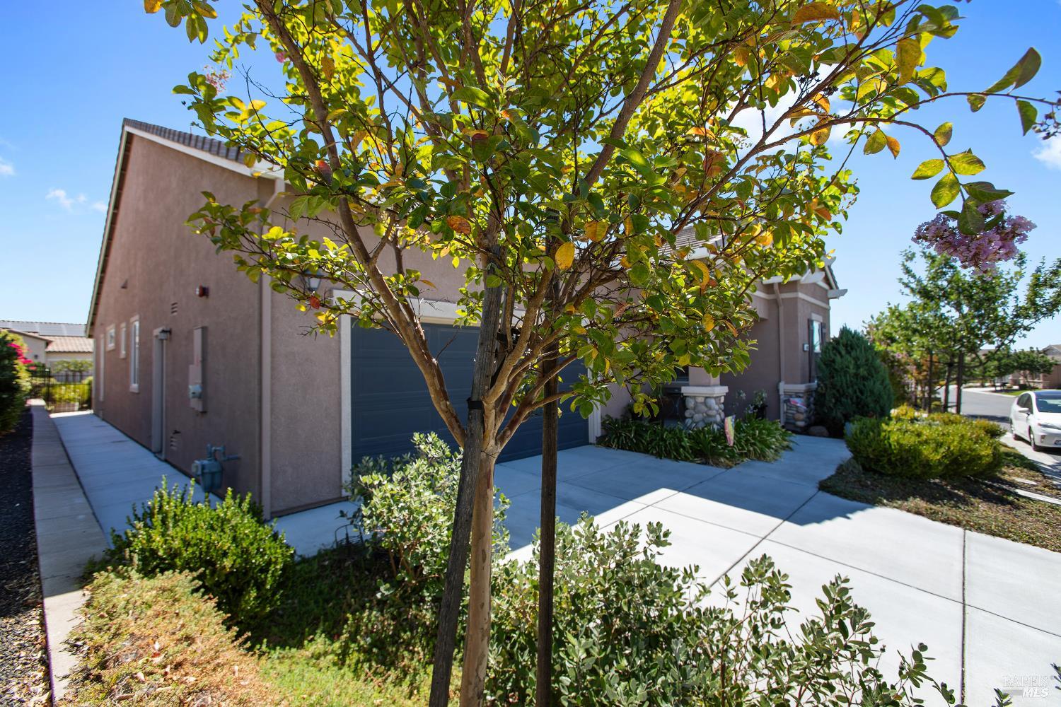 408 Pelican Place Rio Vista CA 94571
