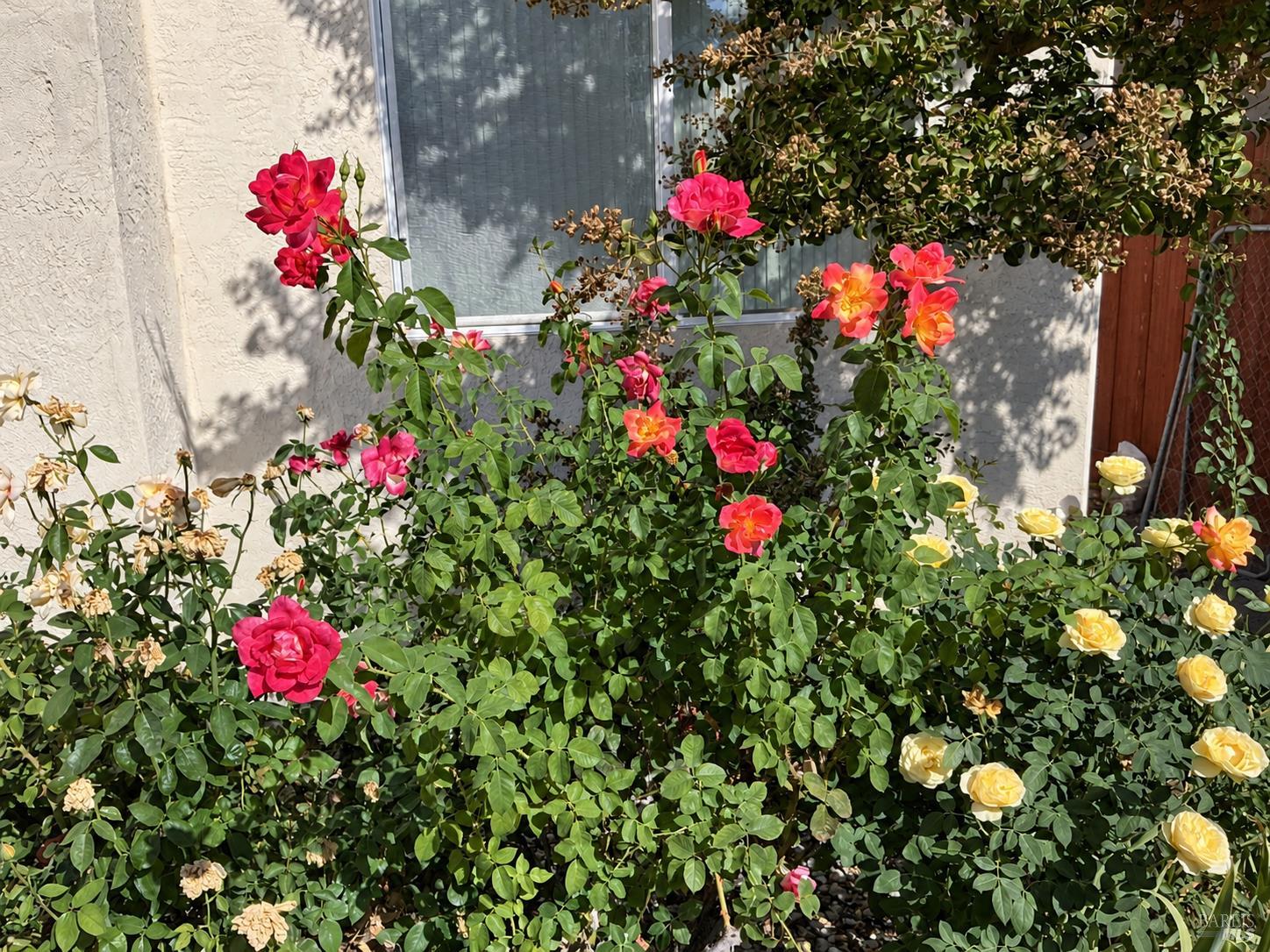 724 Roscommon Drive Vacaville CA 95688