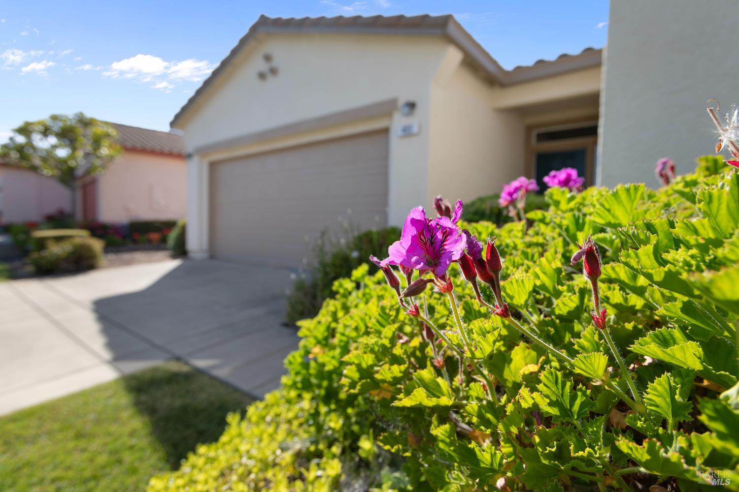 403 Bay Oaks Way Rio Vista CA 94571