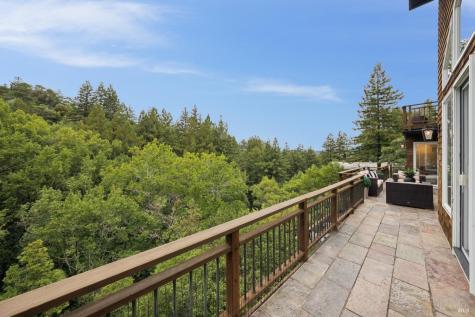 160 Piedmont Court Larkspur CA 94939