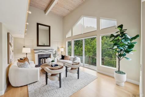 160 Piedmont Court Larkspur CA 94939