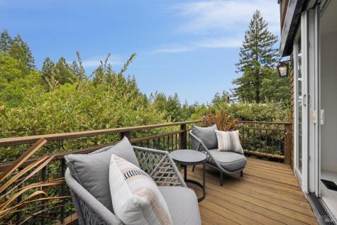 160 Piedmont Court Larkspur CA 94939