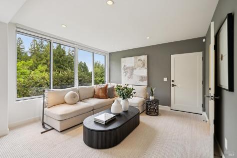 160 Piedmont Court Larkspur CA 94939