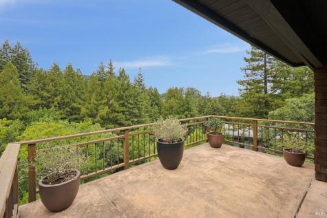 160 Piedmont Court Larkspur CA 94939