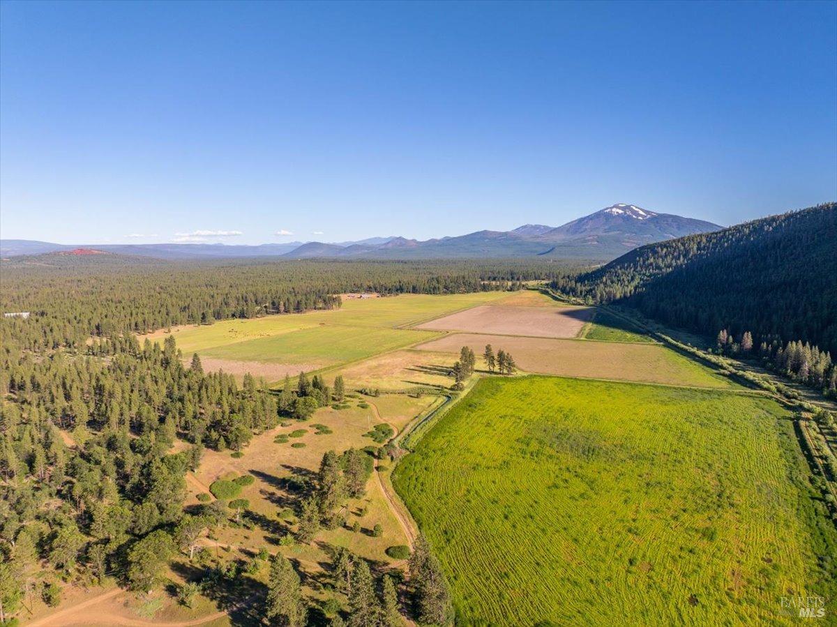22766 Black Ranch Road Burney CA 96013