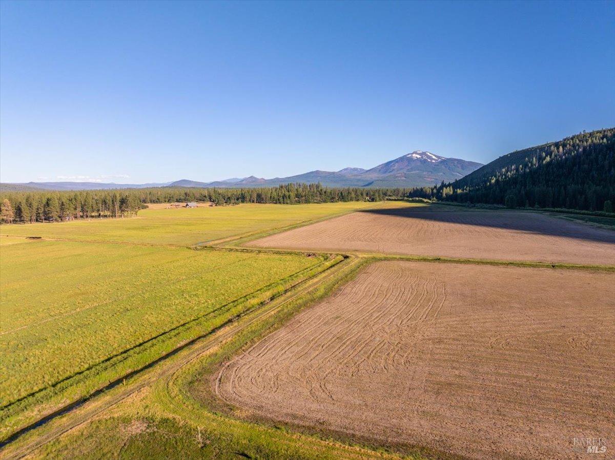 22766 Black Ranch Road Burney CA 96013