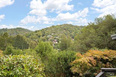 185 Circle Avenue Mill Valley CA 94941