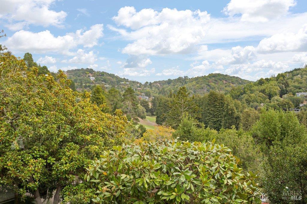 185 Circle Avenue Mill Valley CA 94941