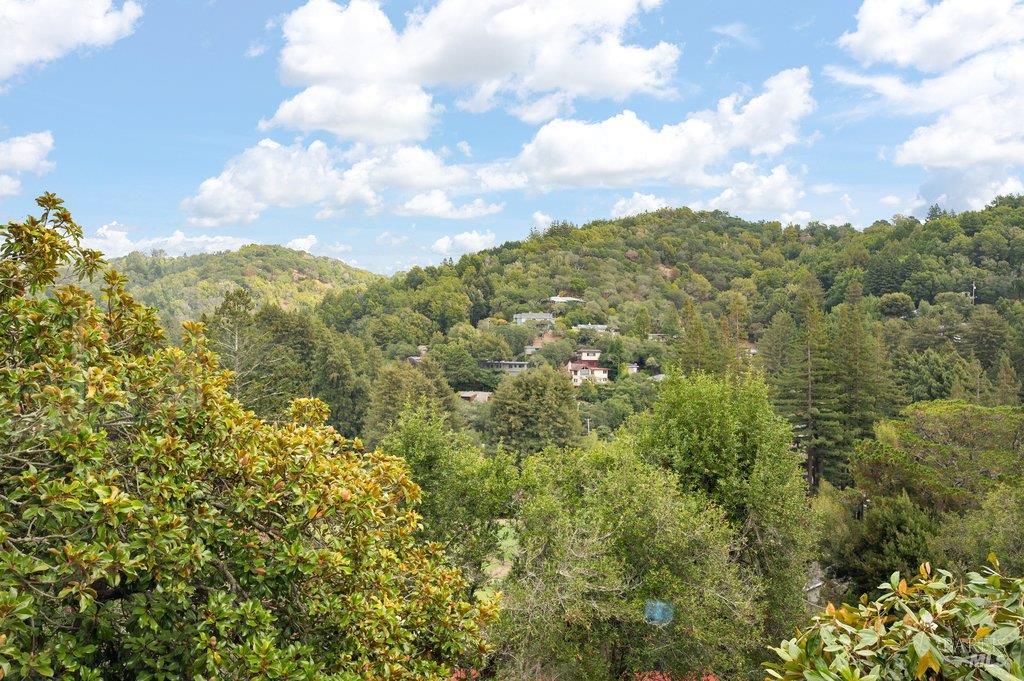 185 Circle Avenue Mill Valley CA 94941