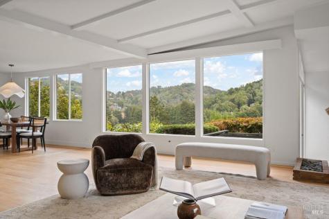185 Circle Avenue Mill Valley CA 94941