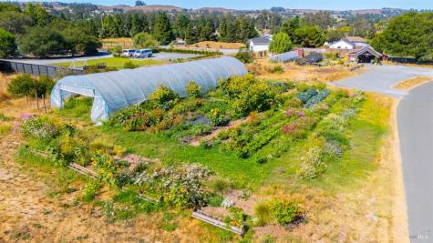 2183 Live Oak Farm Lane Petaluma CA 94952