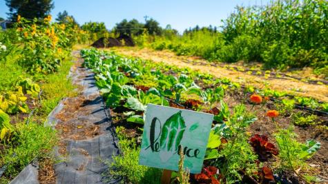 2183 Live Oak Farm Lane Petaluma CA 94952