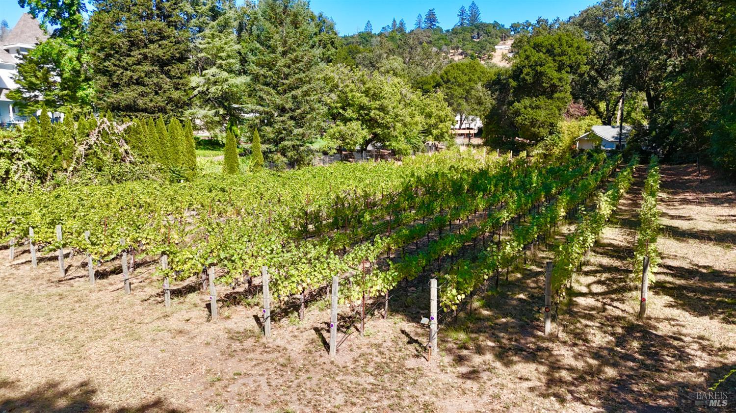 109 Glass Mountain Lane St. Helena CA 94574