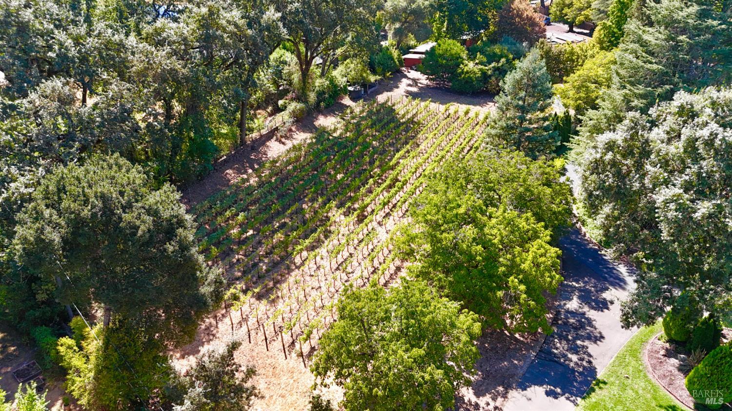 109 Glass Mountain Lane St. Helena CA 94574