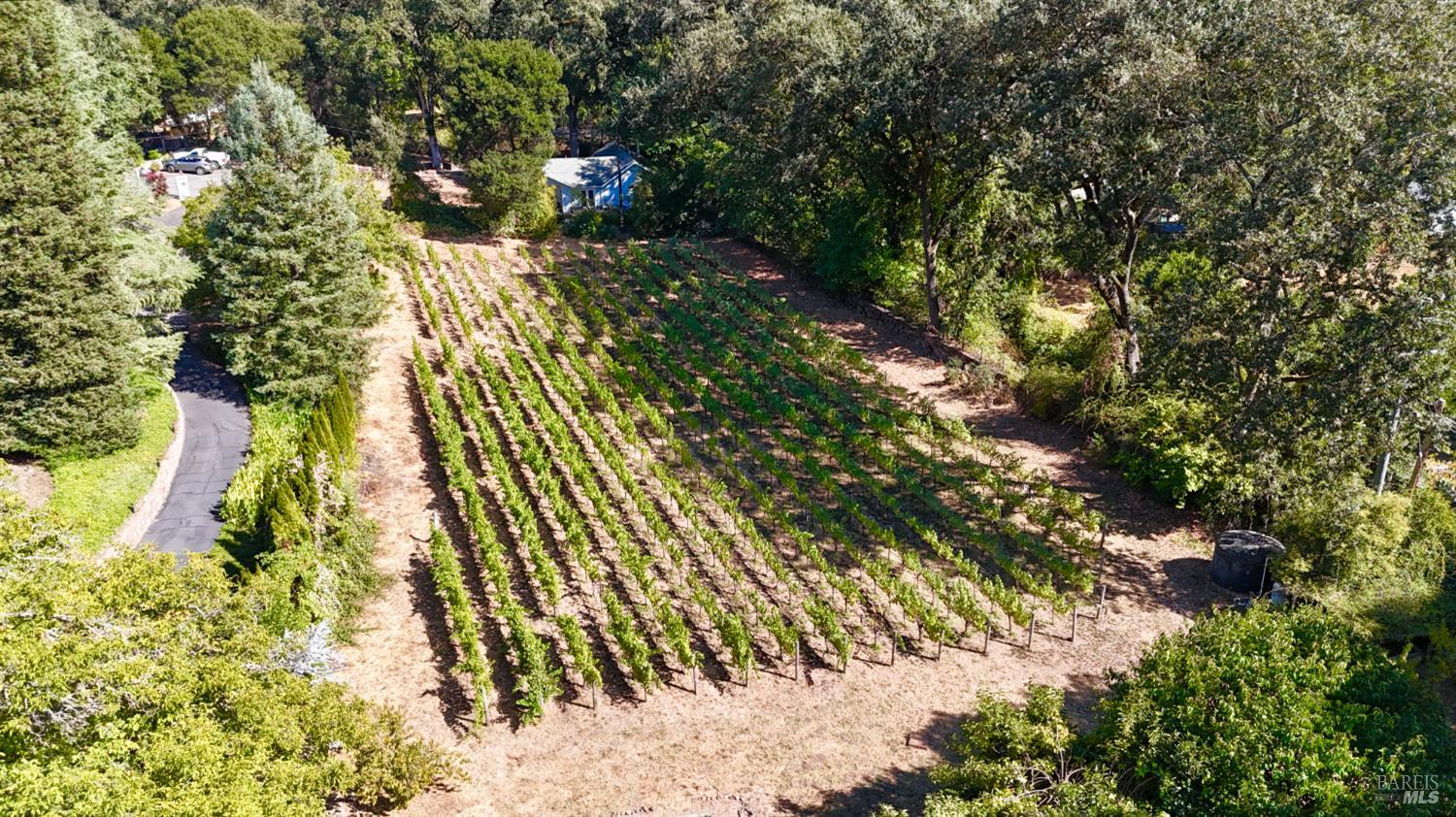 109 Glass Mountain Lane St. Helena CA 94574